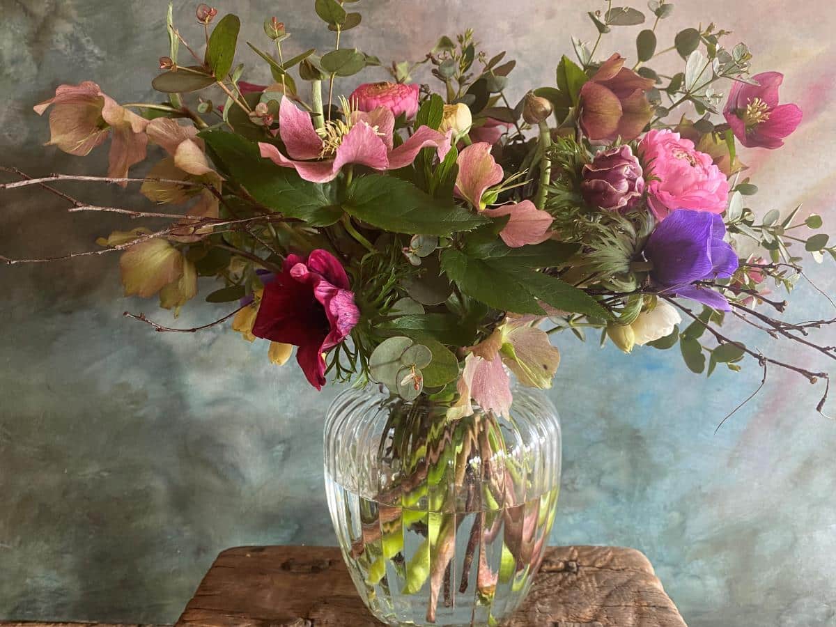 certified organic cut flowers from Organic Blooms