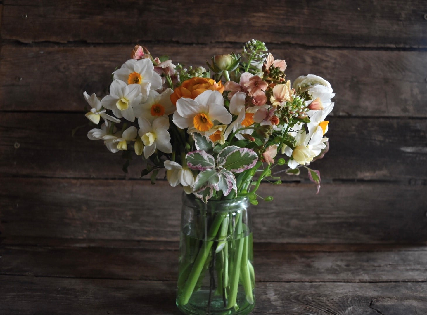 Certified organic, ethically grown spring flowers