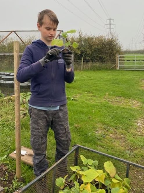 Elvis, Natureworks trainee
